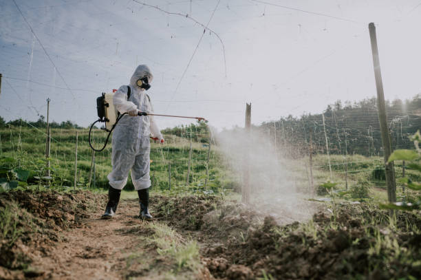 Best Termite Control Services  in Grayling, MI