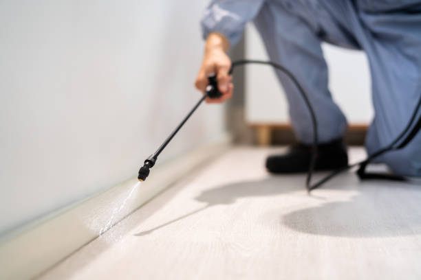Best Pest Removal Services  in Grayling, MI