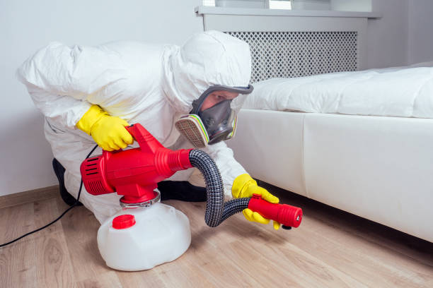 Best Pest Removal Services  in Grayling, MI
