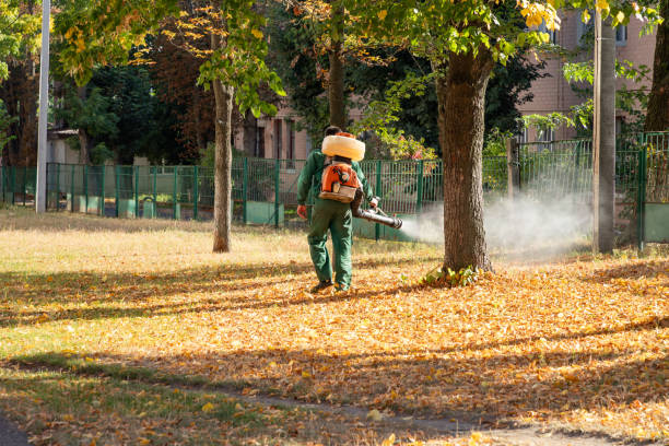 Best Cockroach Control Services  in Grayling, MI