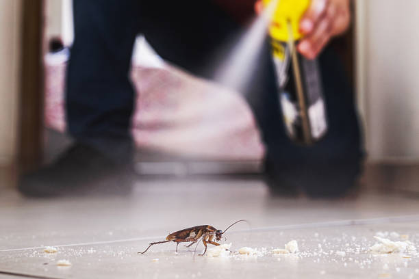 Best Commercial Pest Control Services  in Grayling, MI
