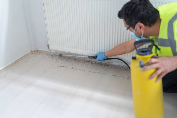 Best Bed Bug Extermination  in Grayling, MI